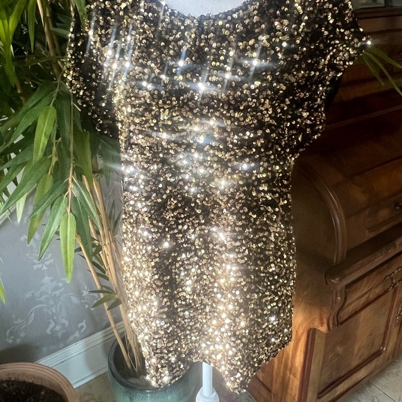 Cable and Gauge sequin ladies short sleeve top crewneck Velveteen back Medium - Picture 8 of 12